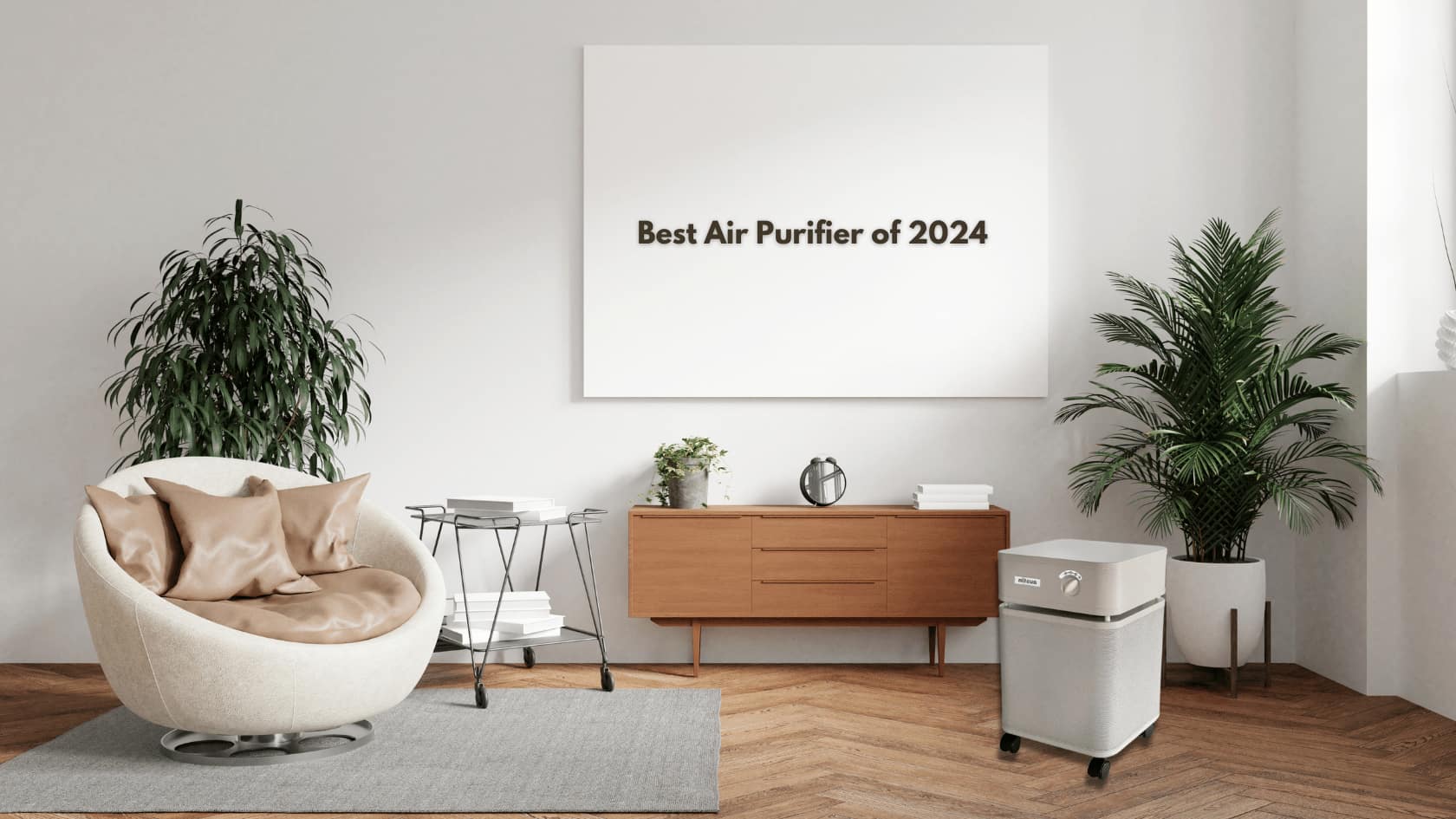 Best Air Purifier of  2024 from Carbon Wellness