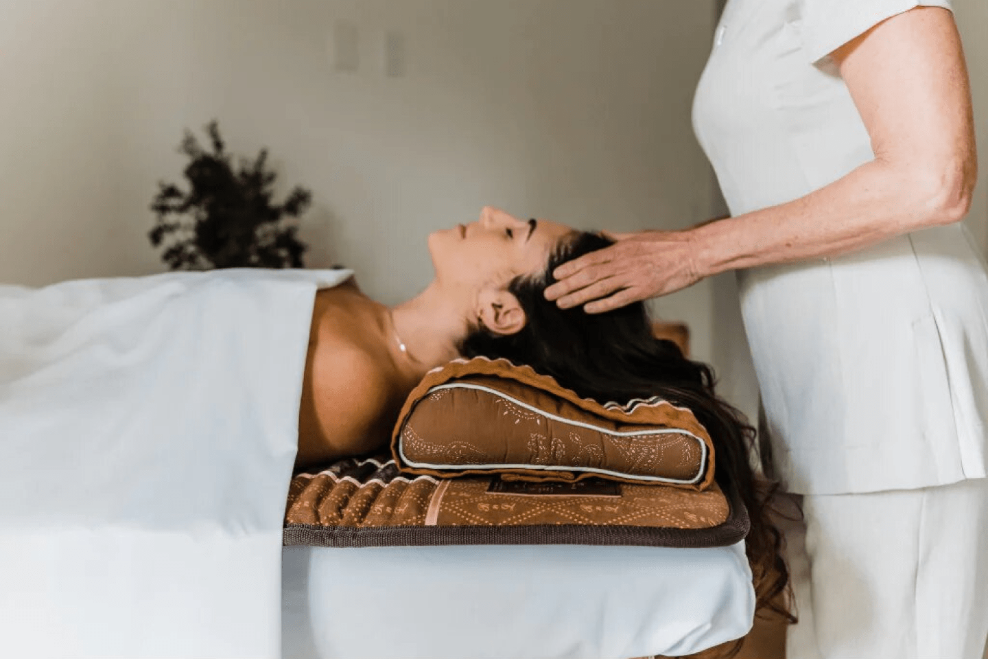 Biomat Professional Amethyst therapy spa clinic