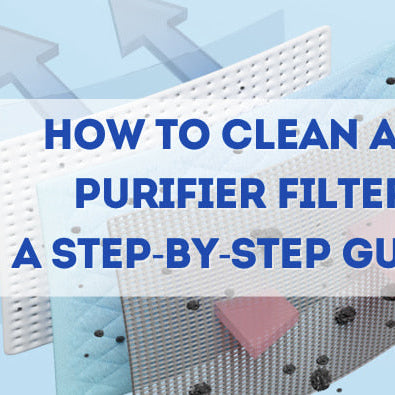 How to Clean Air Purifier Filter: A Step-by-Step Guide | Carbon Wellness MD
