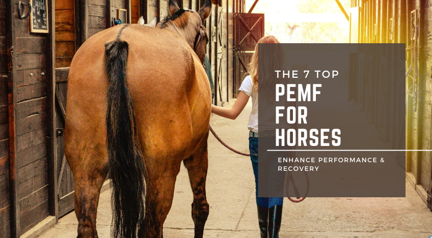 The 8 Top Benefits of PEMF for Horses