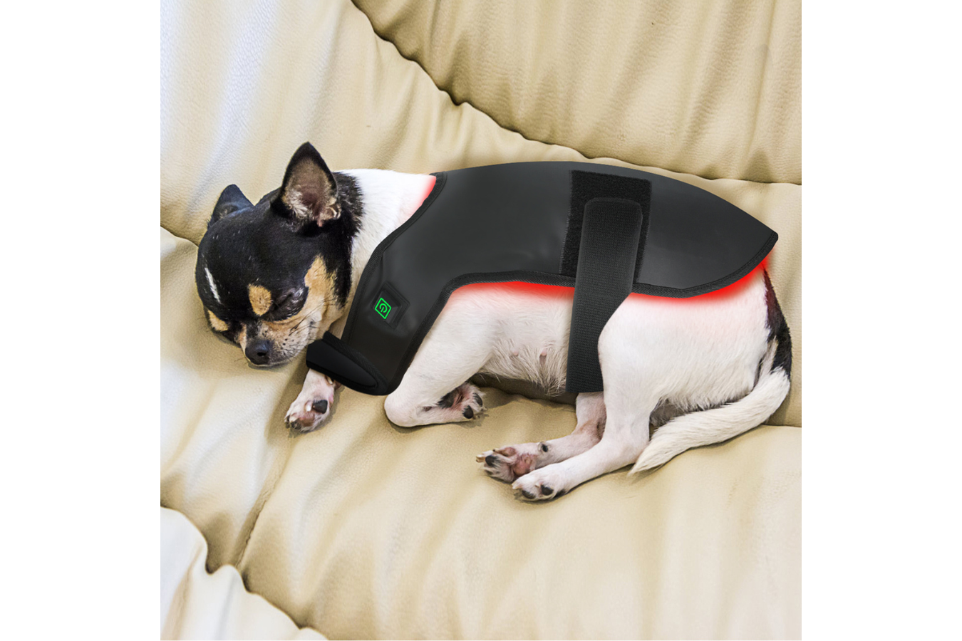 Equiviva Dog Red Light Therapy Blanket