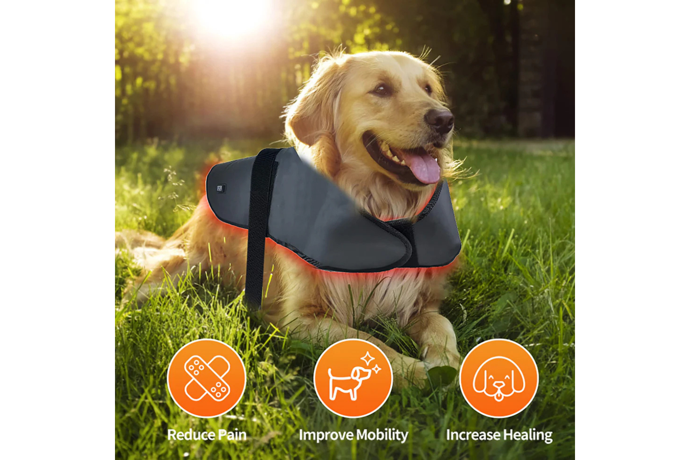 Equiviva Dog Red Light Therapy Blanket 