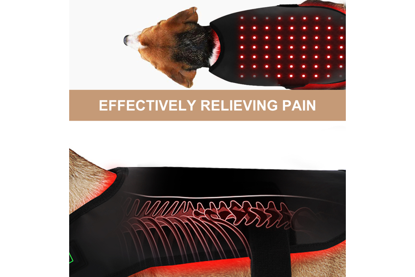 Equiviva Dog Red Light Therapy Blanket