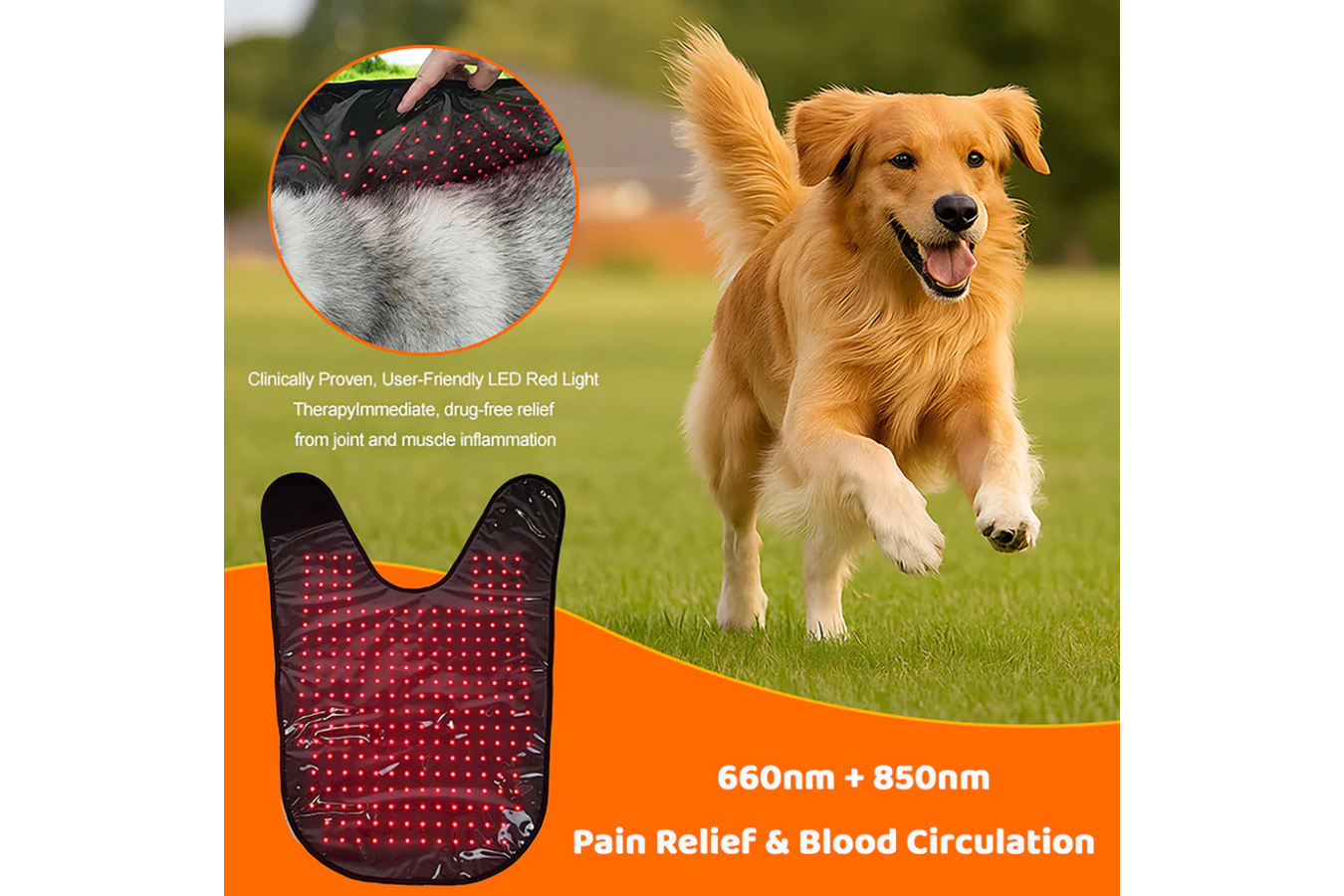 Equiviva Dog Red Light Therapy Blanket Features