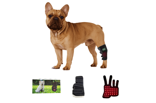 Equiviva Dog Red Light Therapy Leg Wrap