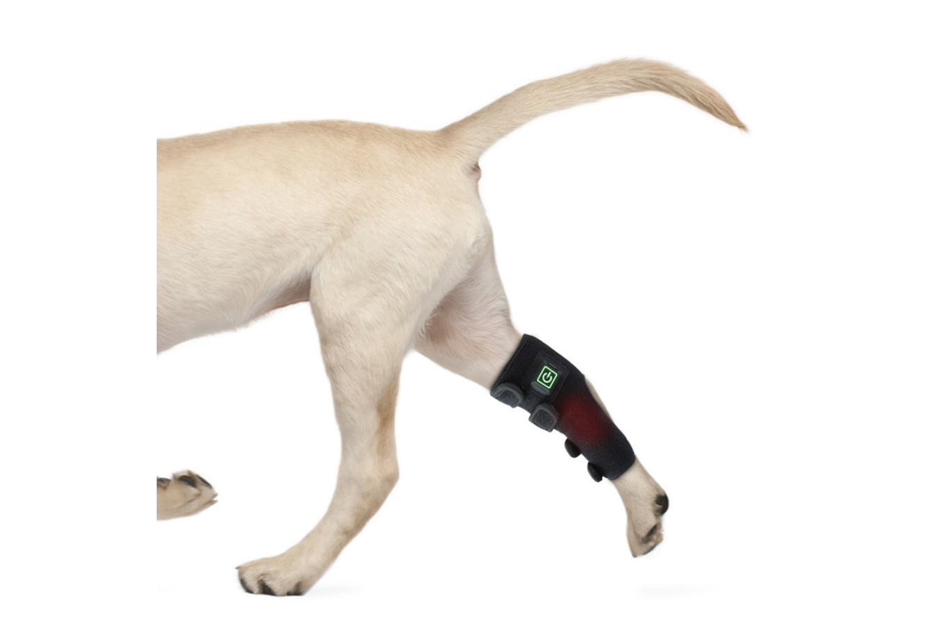 Equiviva Dog Red Light Therapy Leg Wrap