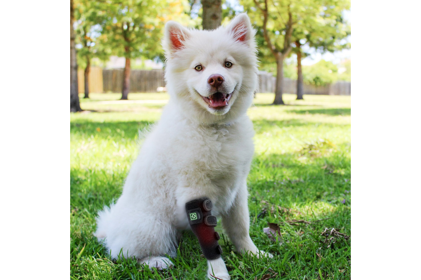 Equiviva Dog Red Light Therapy Leg Wrap