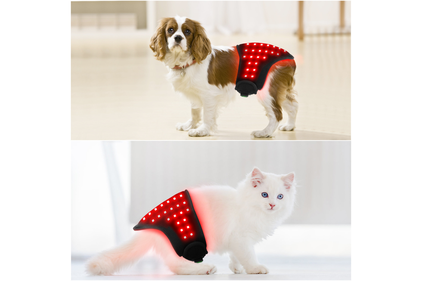 Equiviva Dog Red Light Therapy Medium Wrap