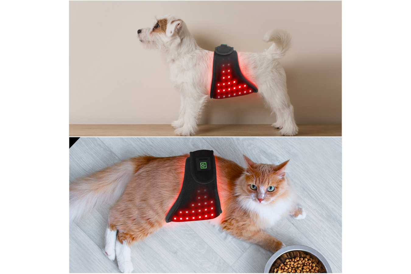 Equiviva Dog Red Light Therapy Medium Wrap