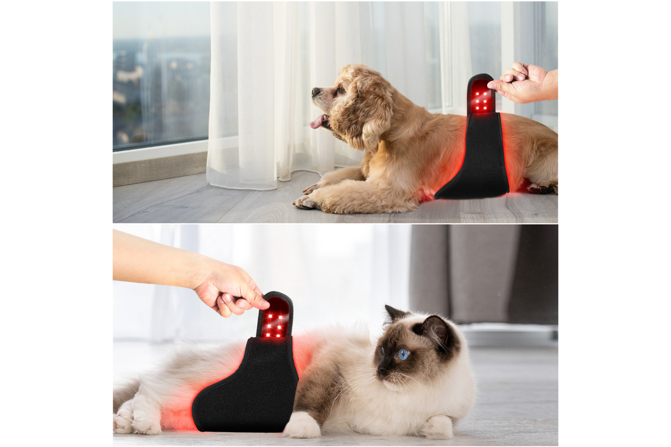 Equiviva Dog Red Light Therapy Medium Wrap Features
