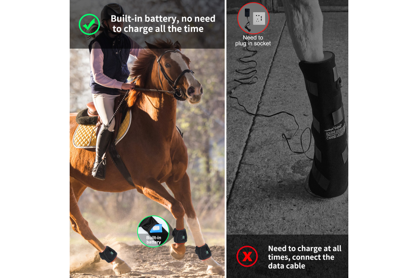 Equiviva Horse Red Light Therapy Boot