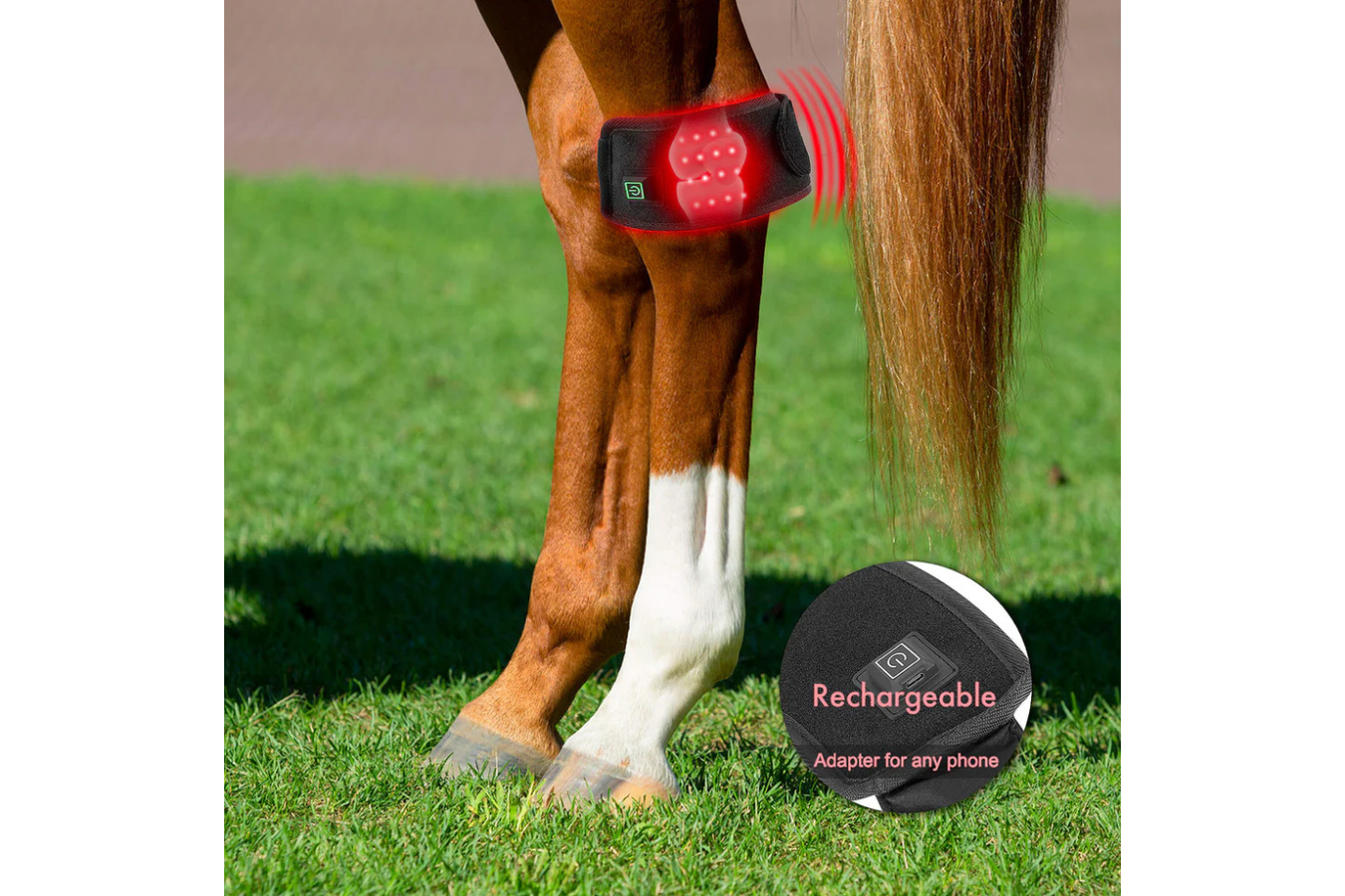 Equiviva Horse Red Light Therapy Boot Features