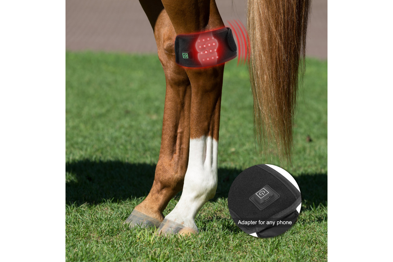Equiviva Horse Red Light Therapy Boot