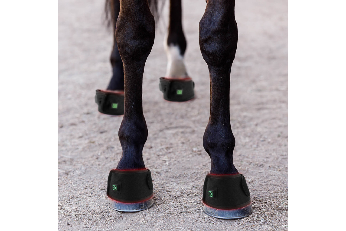 Equiviva Horse Red Light Therapy Boot