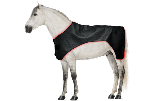 Equiviva Horse Red Light Therapy Full Body Blanket