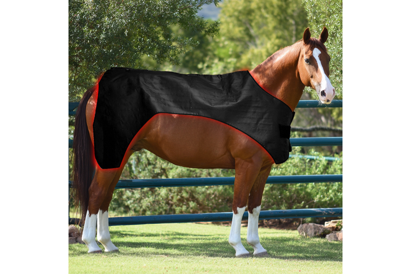 Equiviva Horse Red Light Therapy Full Body Blanket