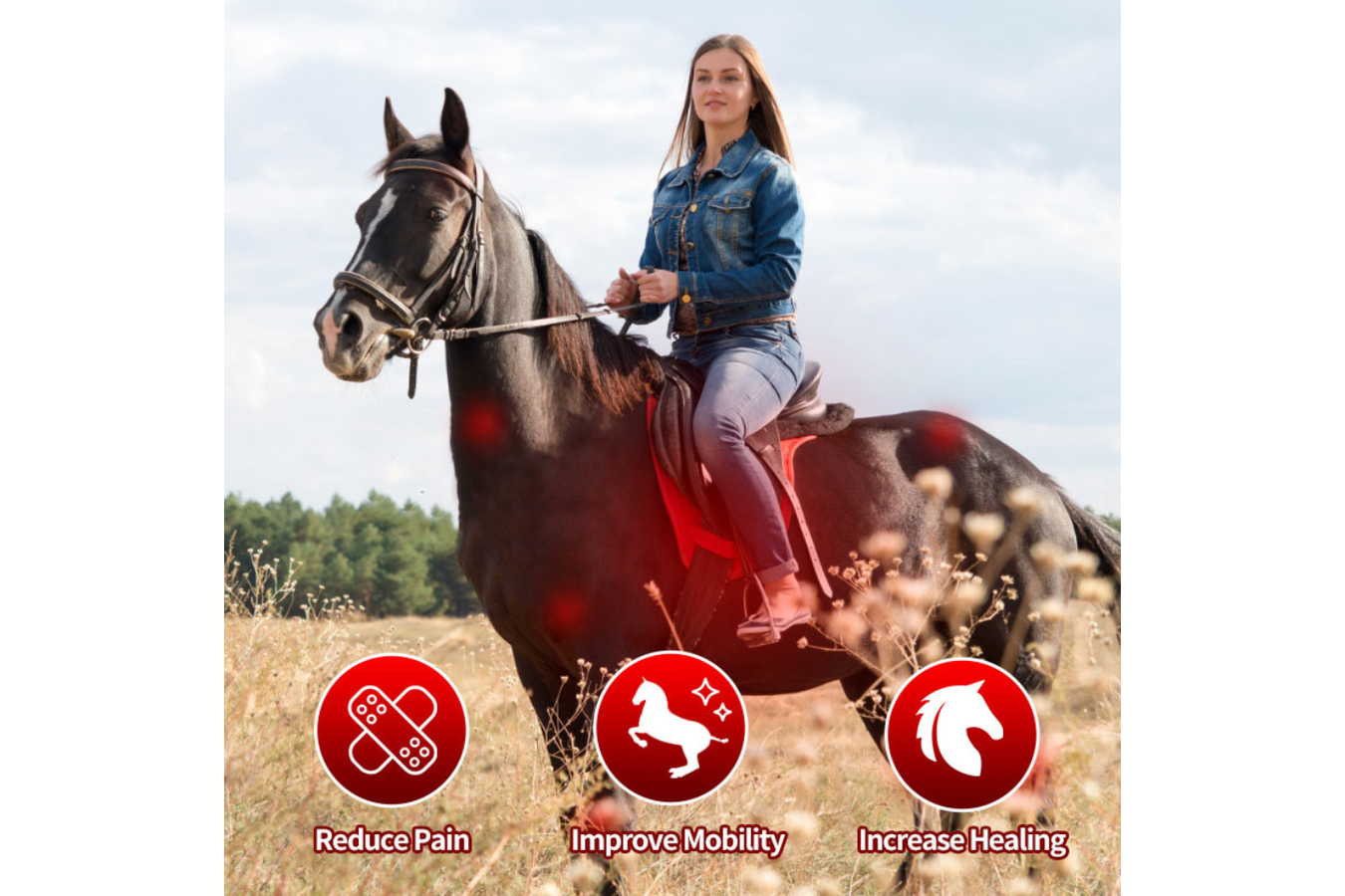 Equiviva Horse Red Light Therapy Full Body Blanket Features