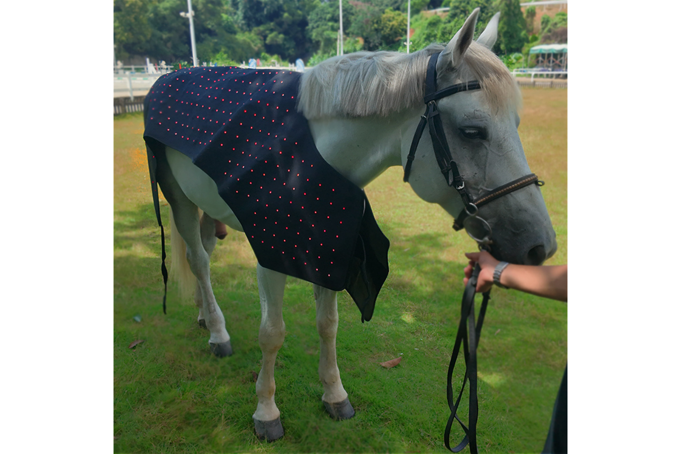 Equiviva Horse Red Light Therapy Full Body Blanket