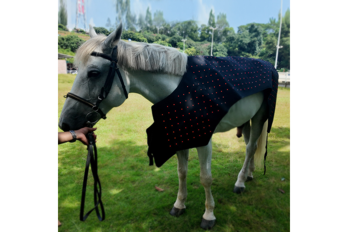 Equiviva Horse Red Light Therapy Full Body Blanket