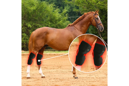 Equiviva Horse Red Light Therapy Hock Wrap