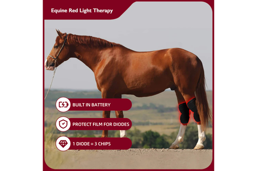 Equiviva Horse Red Light Therapy Hock Wrap Features