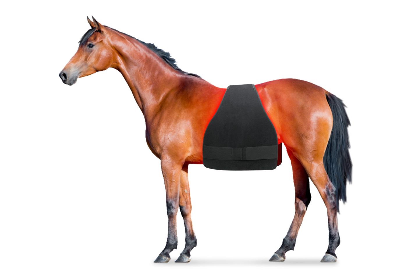 Equiviva Horse Red Light Therapy Large Wrap