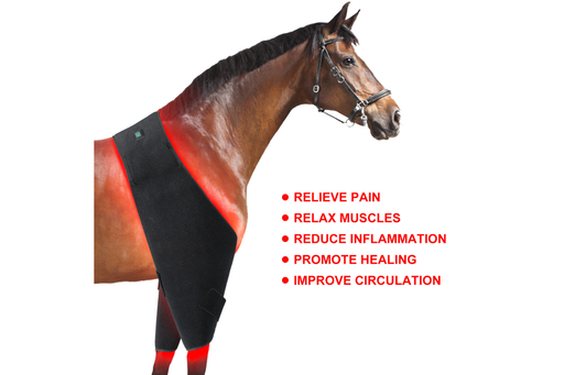 Equiviva Horse Red Light Therapy Large Wrap