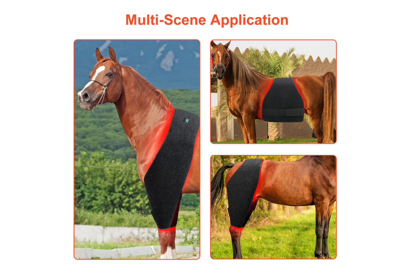 Equiviva Horse Red Light Therapy Large Wrap Features