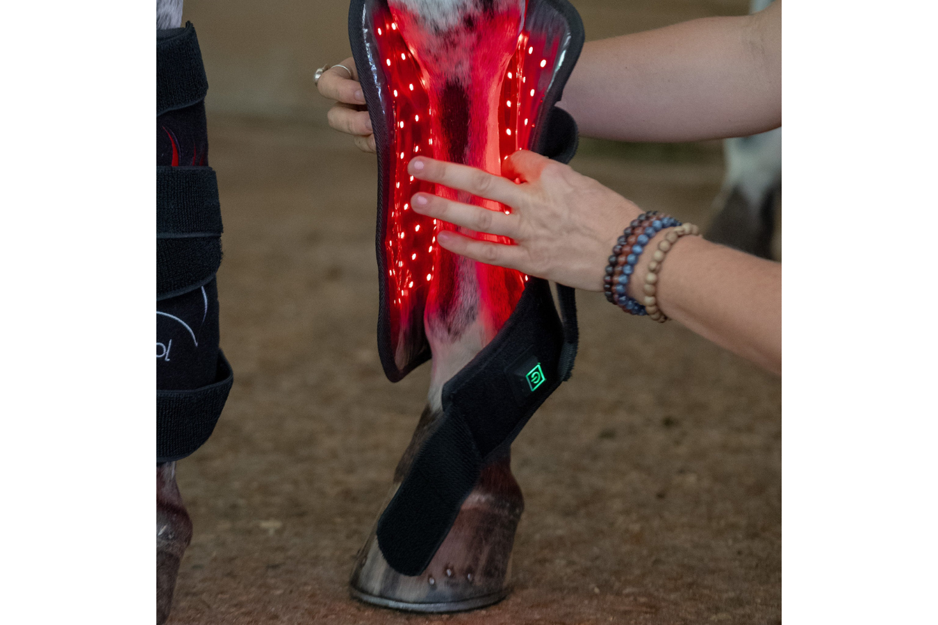 Equiviva Horse Red Light Therapy Leg Wrap