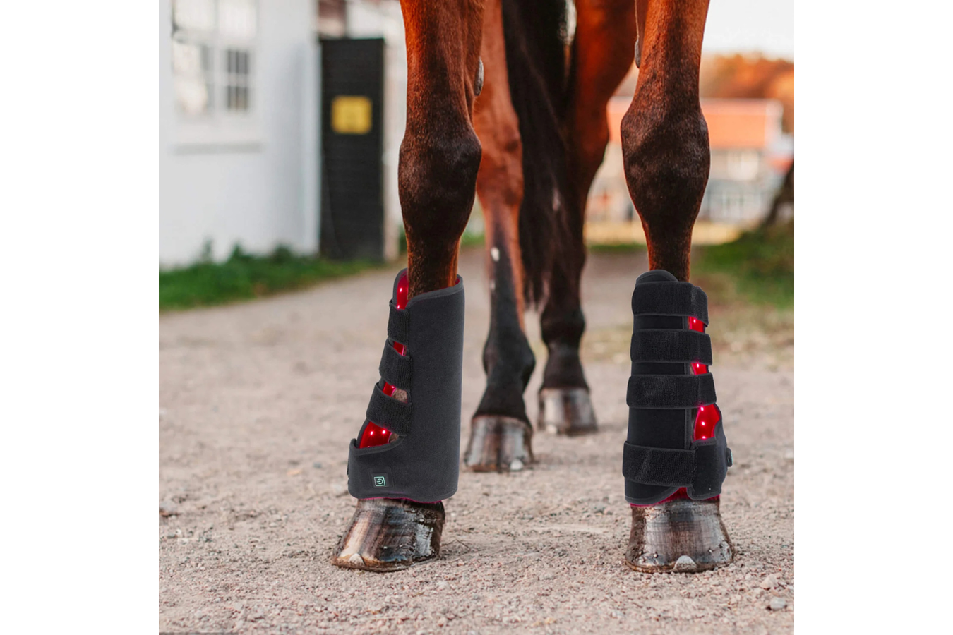 Equiviva Horse Red Light Therapy Leg Wrap