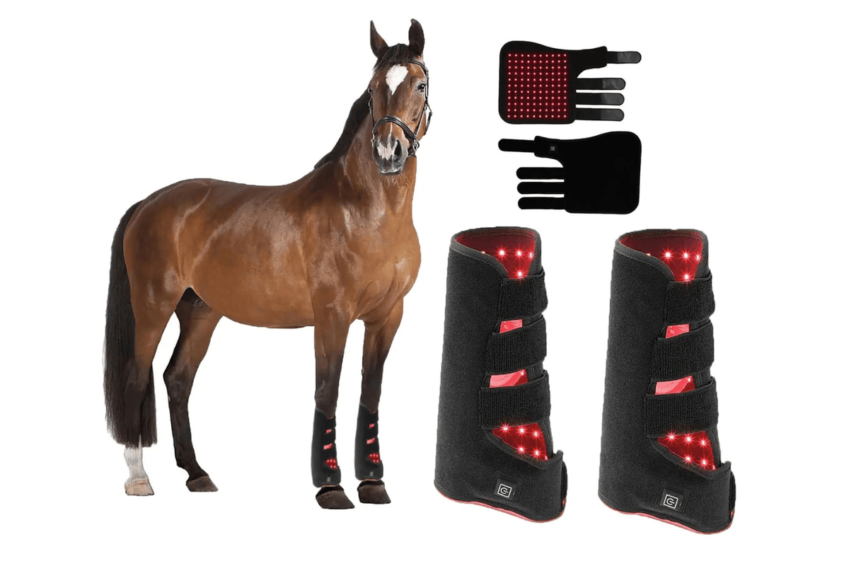 Equiviva Horse Red Light Therapy Leg Wrap