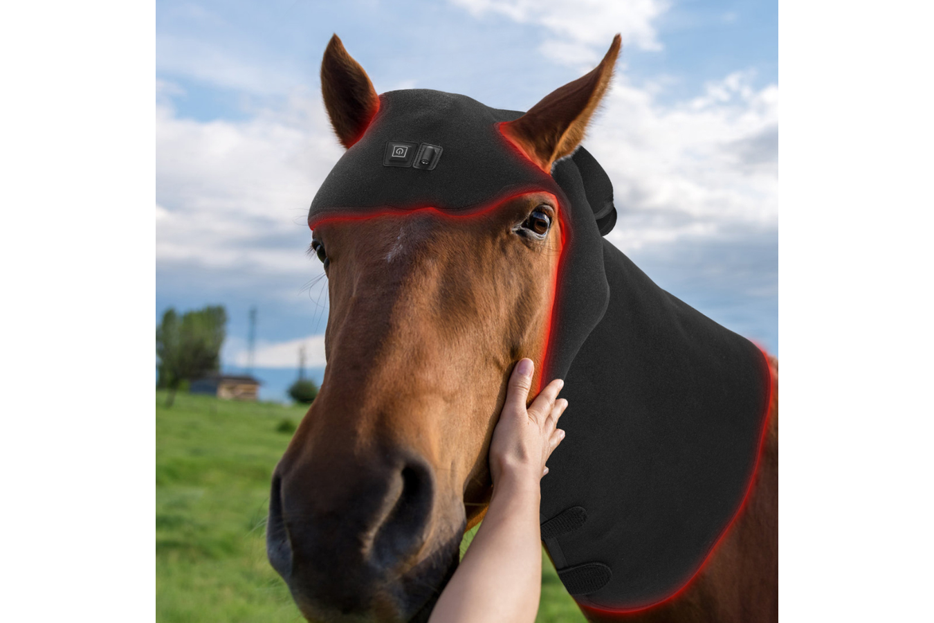 Equiviva Horse Red Light Therapy Poll Cap and Neck Wrap