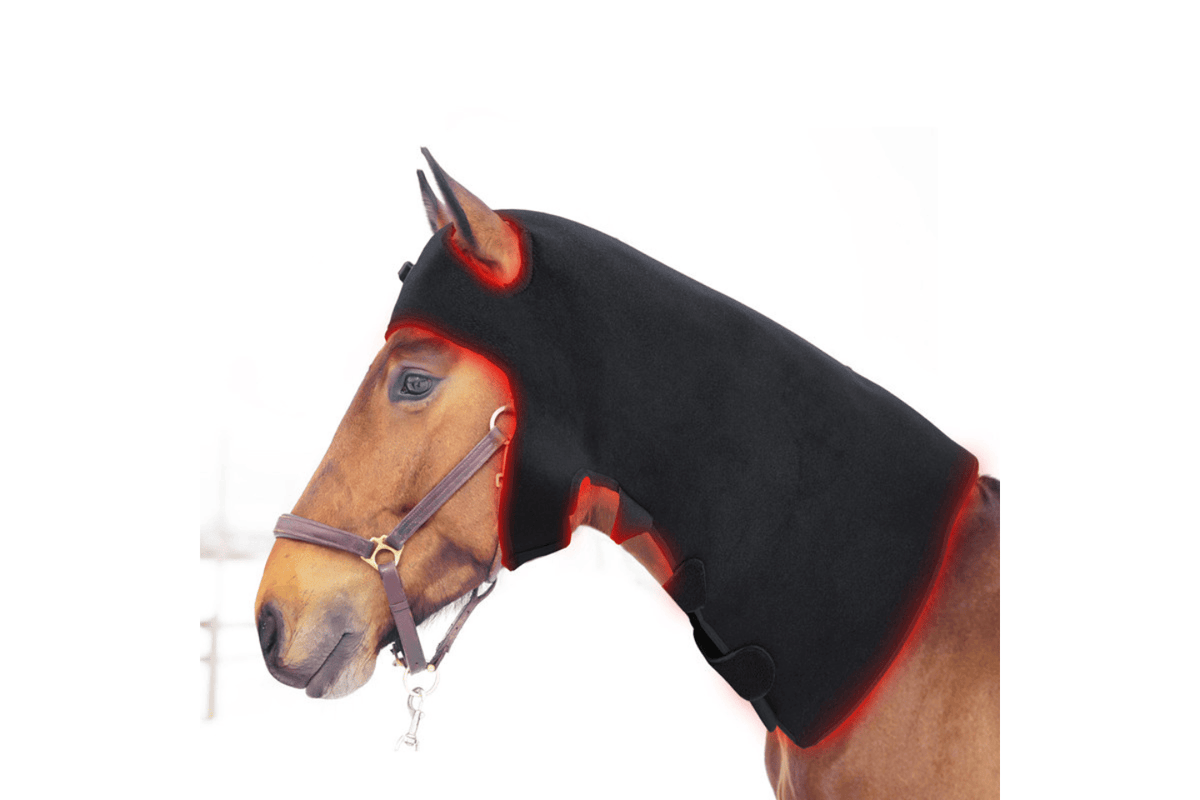 Equiviva Horse Red Light Therapy Poll Cap and Neck Wrap