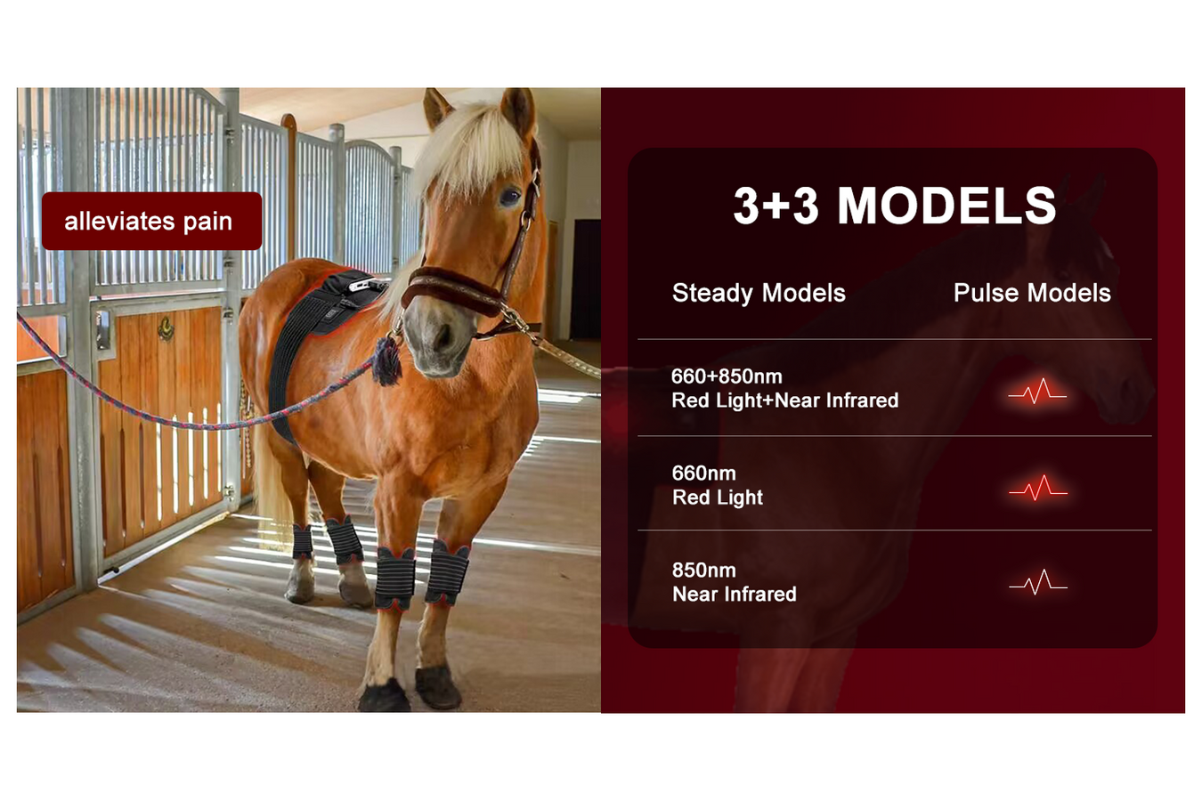 Equiviva Horse Red Light Therapy Back Wrap