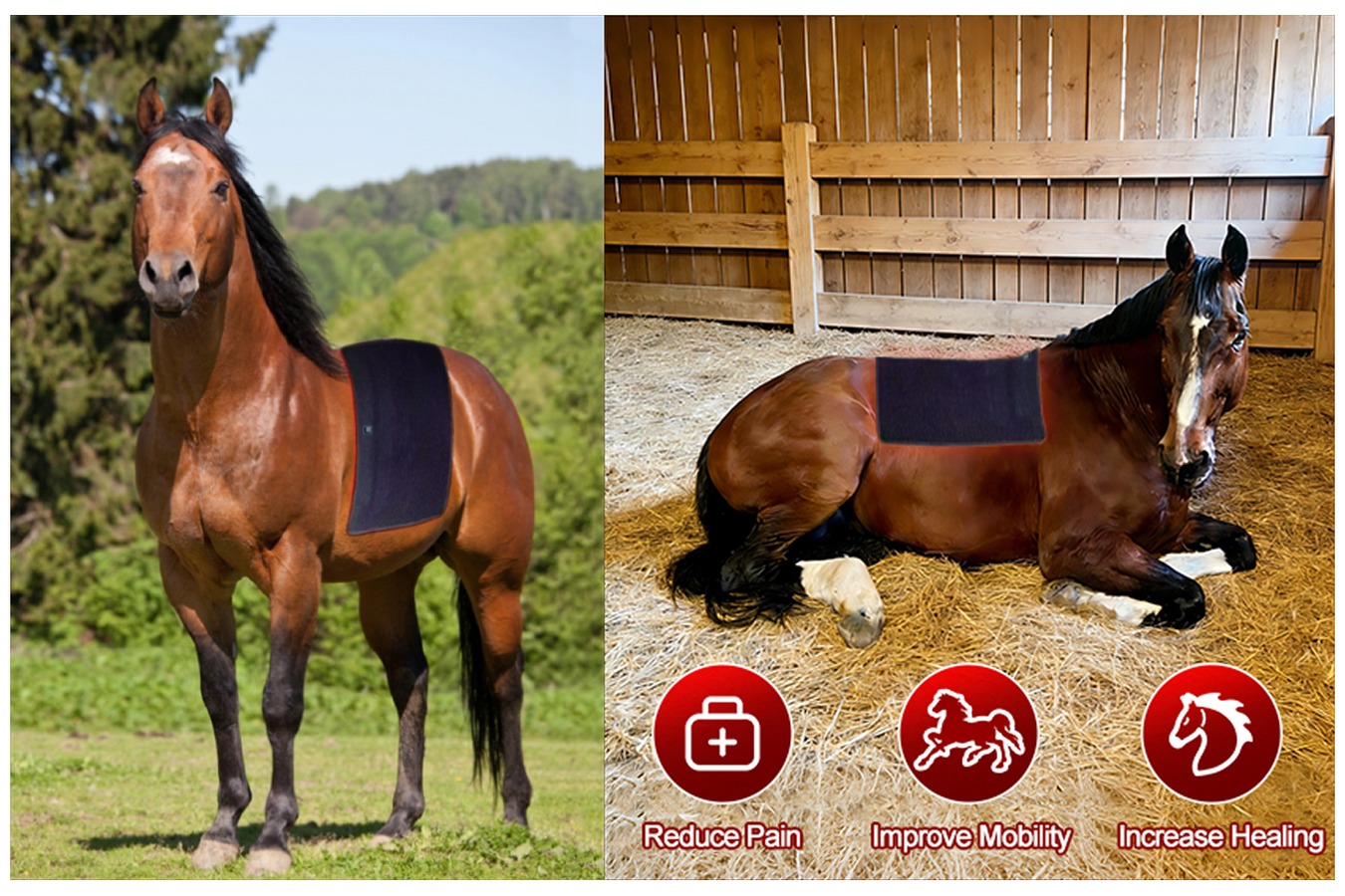 Equiviva Horse Red Light Therapy Back Wrap