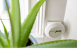 VIVOBASE Home EMF Protection Device beside the window