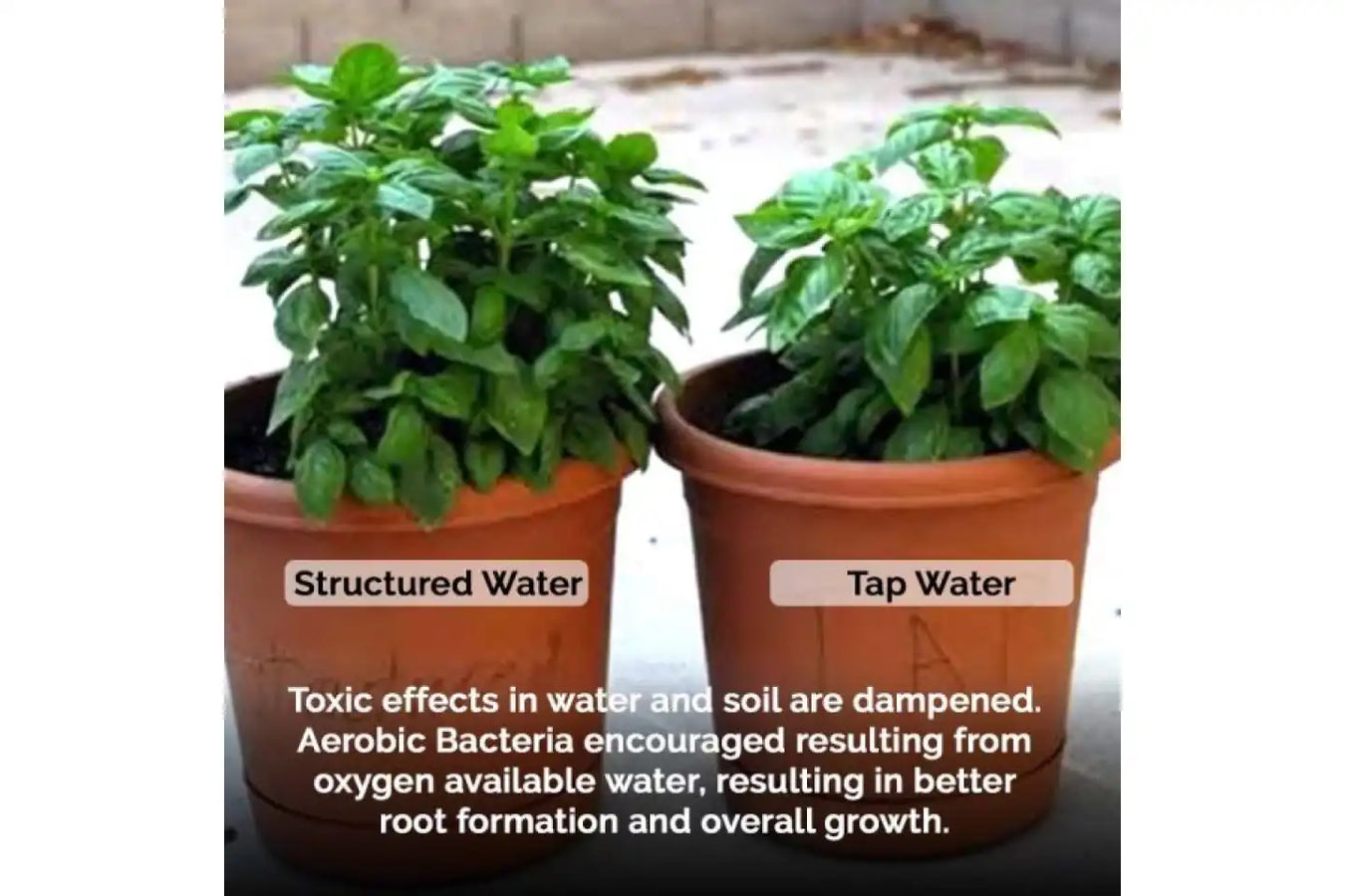 Natural Action Water Home Structured Water Unit comparison with structured water effectively have better effects