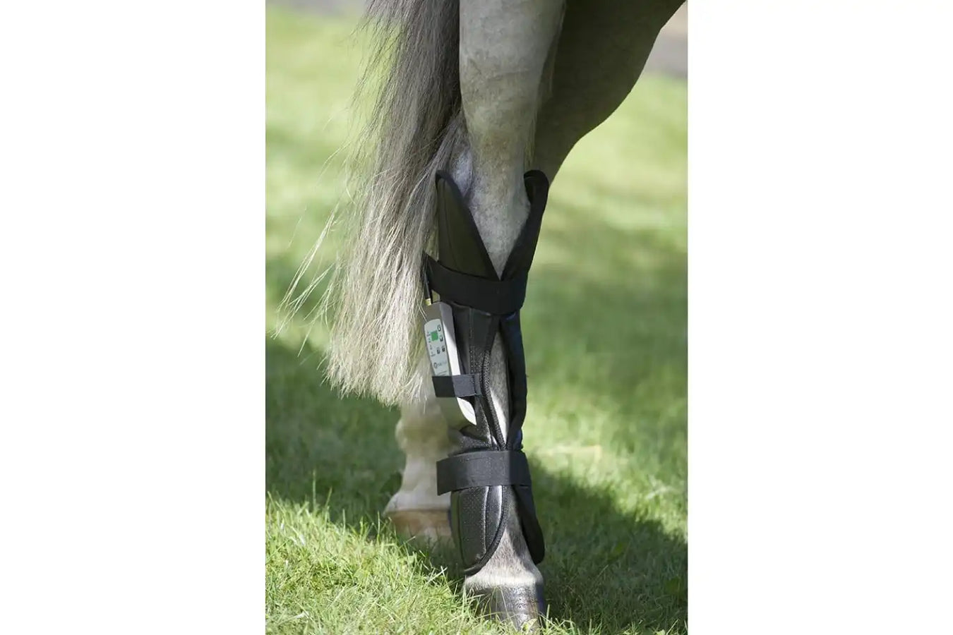 Omi Pemf Therapy For Horses in use in the horse rear leg