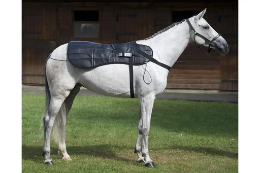 Easy to use OMI Pemf Equine Blanket on the horse back with its controller