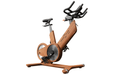 Power Plate REV woodgrain Exercise Bike