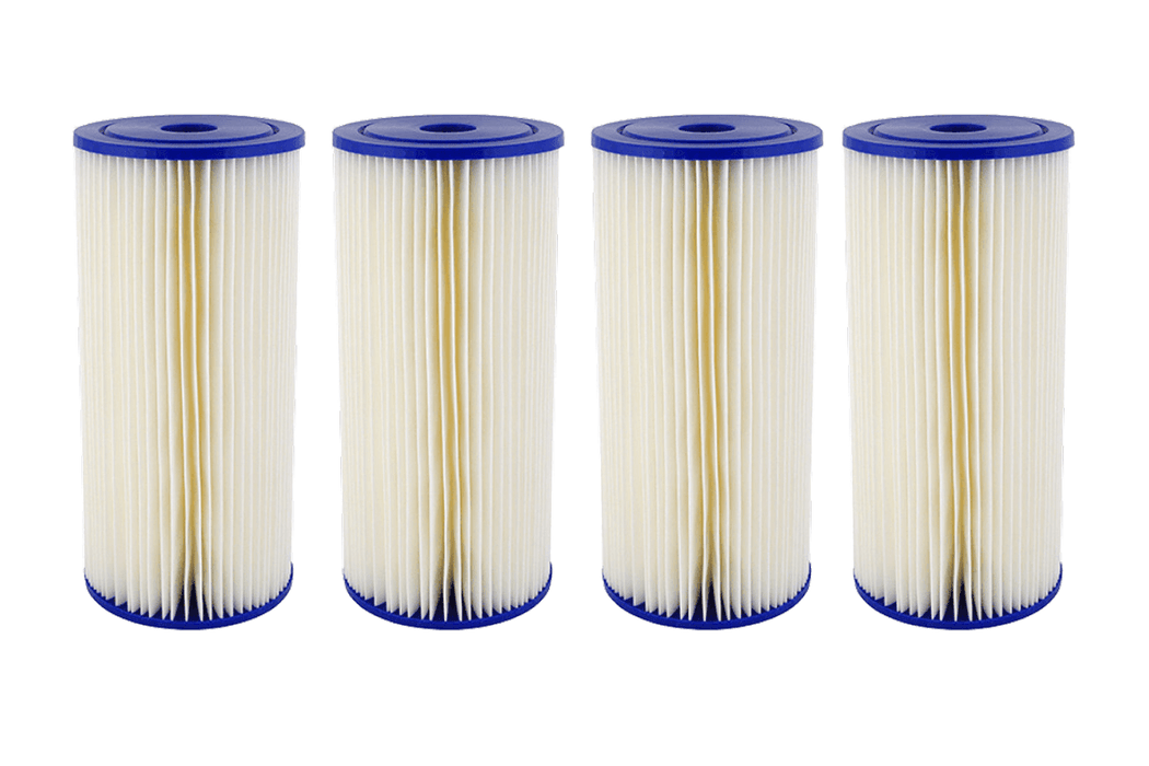 ReGen Filter Cartridge