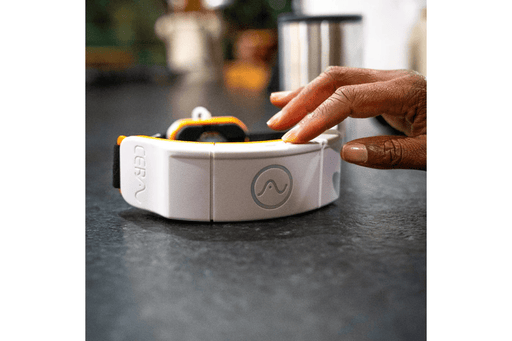 The CERA System Brain & Gut Red Light Therapy Device for the head