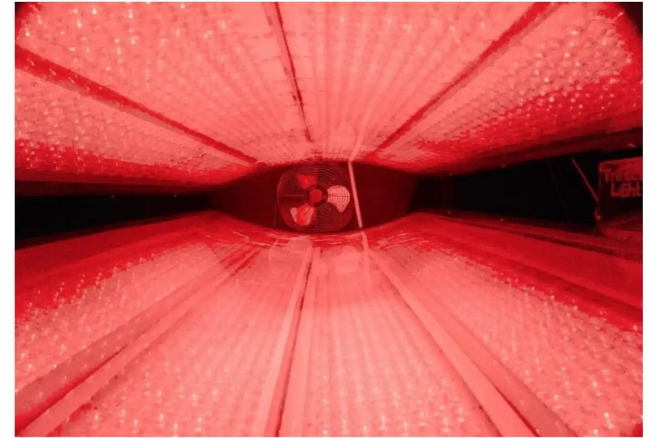 Trifecta Red Light Therapy inside view