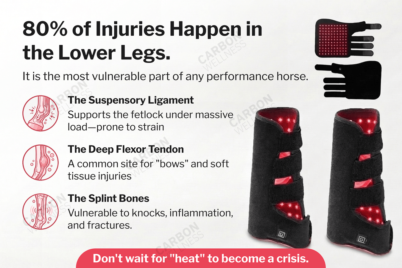 Horse red light therapy product with text about injuries in the lower legs and preventive measures.