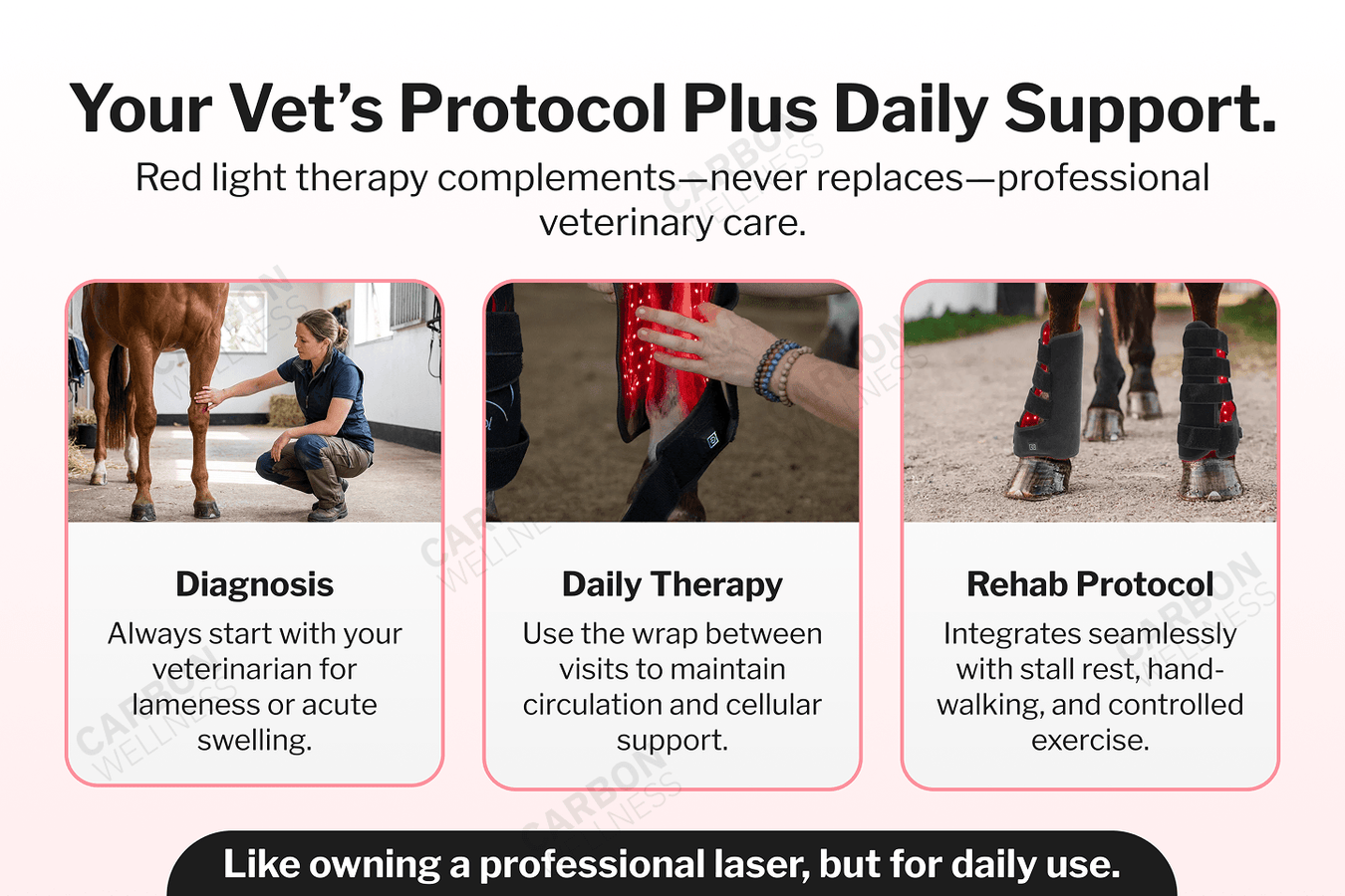 Advertisement for a horse red light care product with images of a horse, a person using a device, and wrapped legs.