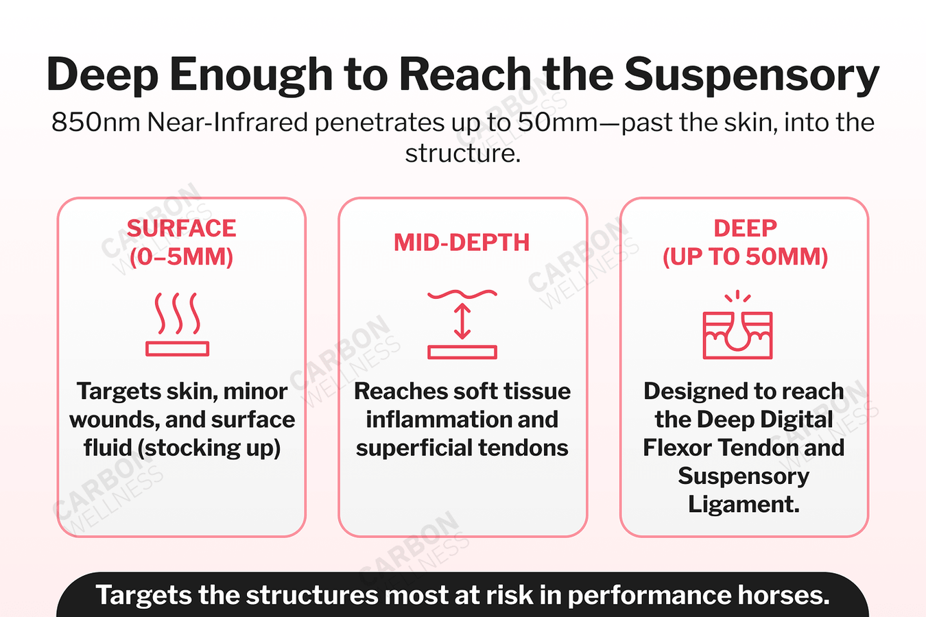 Diagram explaining the penetration depth of 850nm near-infrared light into horse tissues.
