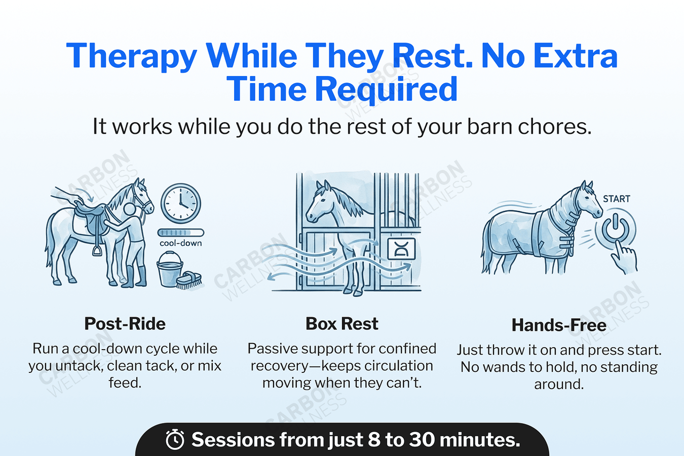 Infographic about a PEMF therapy system for horses with illustrations and text on a white background.